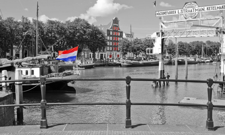 Koningsdag 2015 Dordrecht Foto Esther van de Sandt